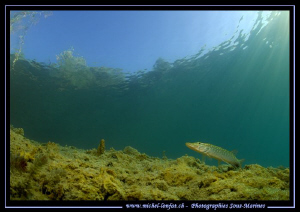 Some people think lakes have only poor visibility... Humm... by Michel Lonfat 